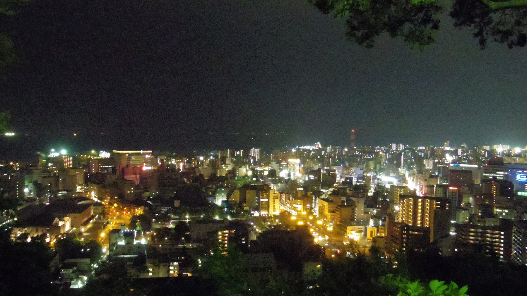 城山からの夜景
