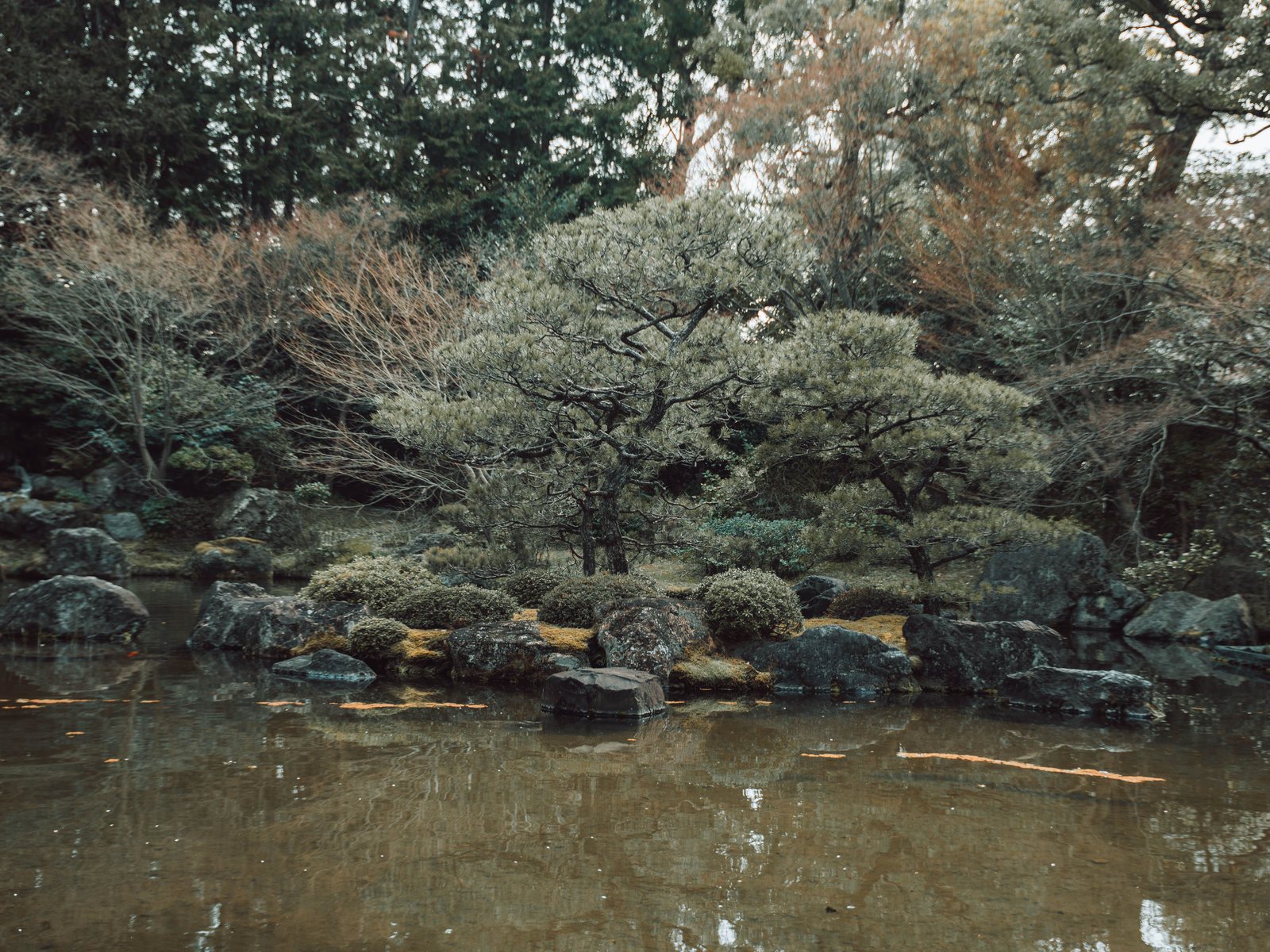 庭園と池の情景（イメージ画像）